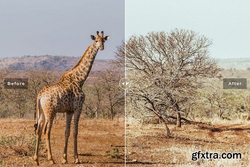 Safari Mobile & Desktop Lightroom Presets