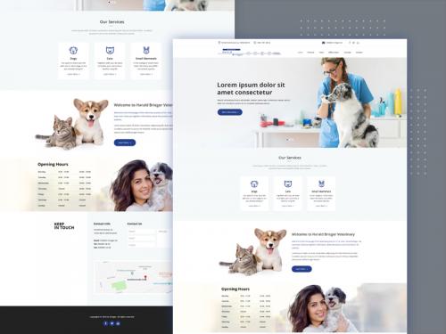 Veterinary Hospital Landing Page Design - veterinary-hospital-landing-page-design