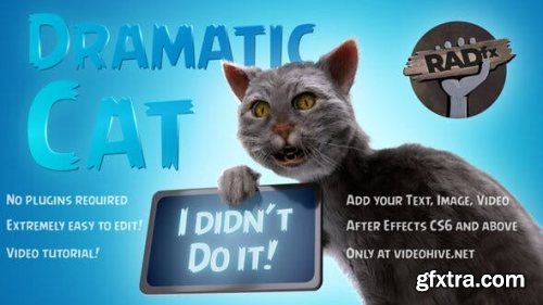 Videohive Funny Dramatic Cat 25771871