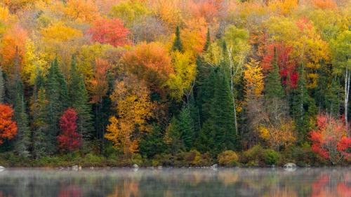 Lynda - Landscape Photography: Autumn - 483230