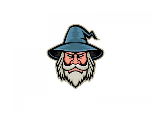 Wizard Head Mascot - wizard-head-mascot