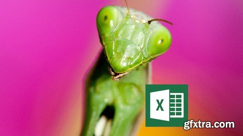 Apprenez VBA et programmez Excel, 1er Niveau