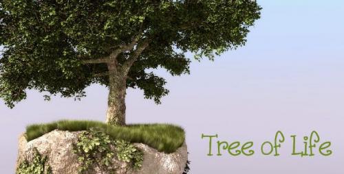 Videohive - Tree of Life