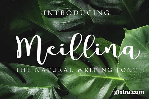 Meillina Natural Font