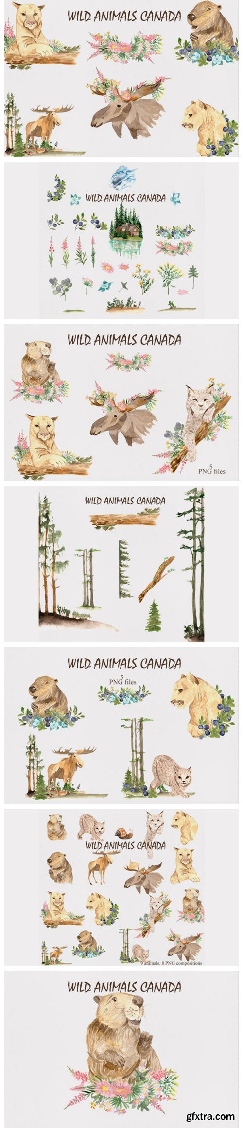 Wild Animals of Canada 2980690