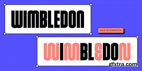 Robson Font Family