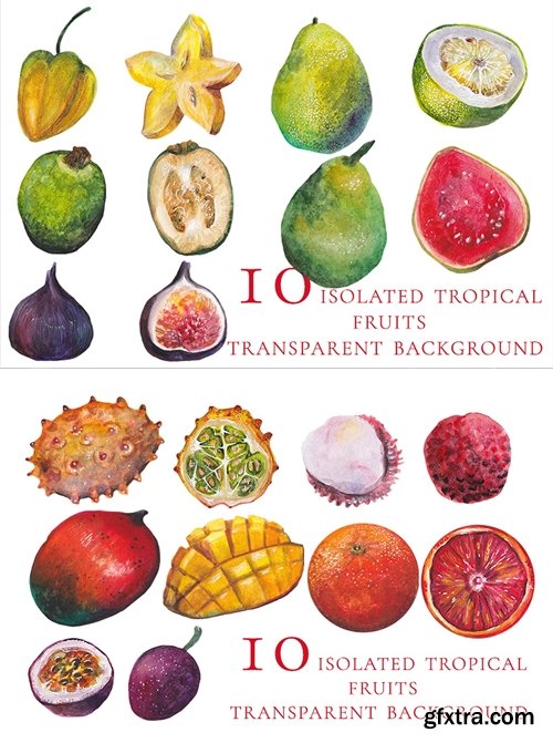 10 isolated watercolor tropical fruits