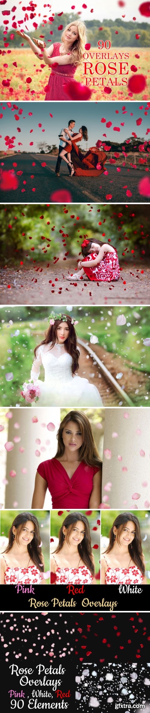 90 Rose Petal Overlays 2998736