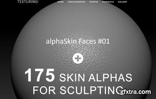 Texturing.xyz - 175 Skin Alphas for Sculpting