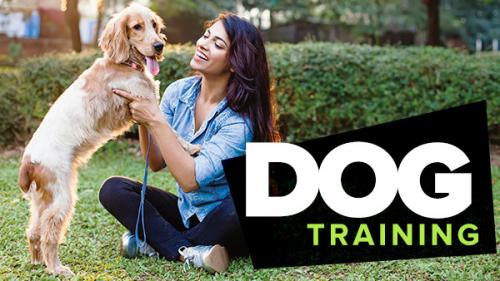 TheGreatCoursesPlus - Dog Training 101