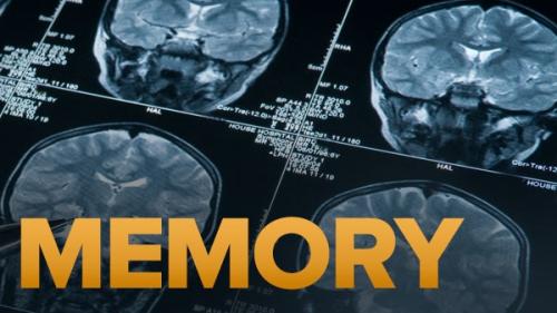 TheGreatCoursesPlus - Memory and the Human Lifespan