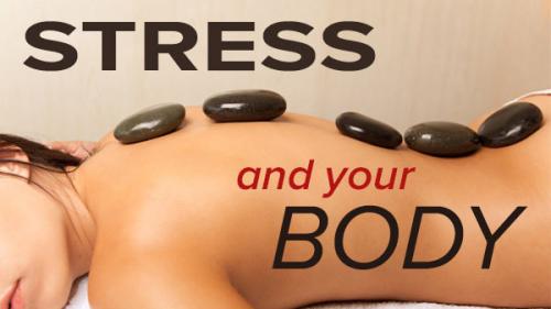 TheGreatCoursesPlus - Stress and Your Body