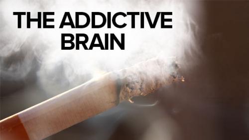 TheGreatCoursesPlus - The Addictive Brain