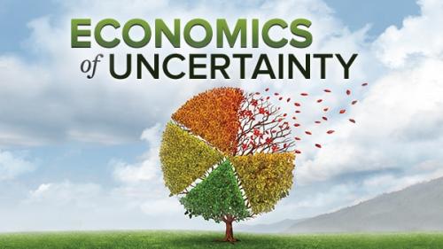 TheGreatCoursesPlus - The Economics of Uncertainty