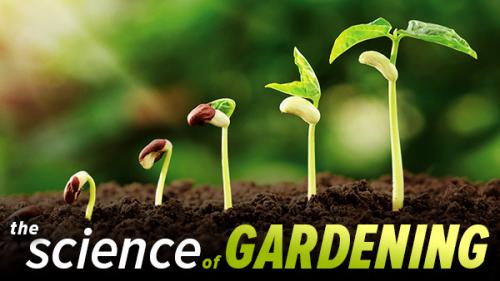 TheGreatCoursesPlus - The Science of Gardening