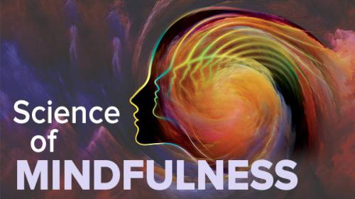 TheGreatCoursesPlus - The Science of Mindfulness: A Research-Based Path to Well-Being