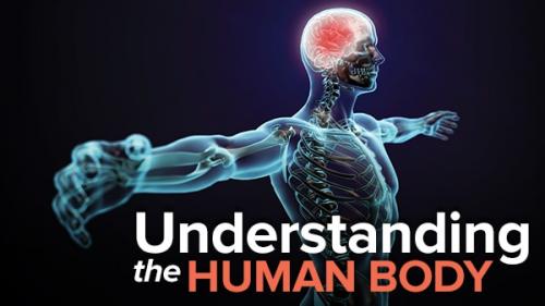 TheGreatCoursesPlus - Understanding the Human Body: An Introduction to Anatomy and Physiology, 2nd Edition