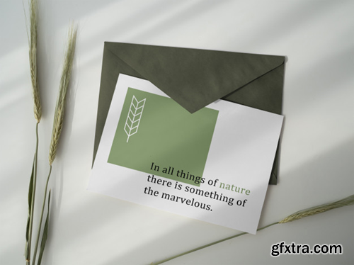 postcard-envelope-mockup_37789-155