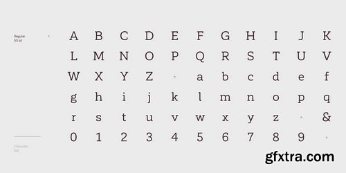 Corporative Slab Font Family