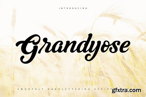 CM - Grandyose 4602229