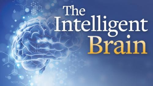 TheGreatCoursesPlus - The Intelligent Brain