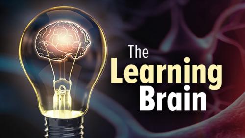 TheGreatCoursesPlus - The Learning Brain