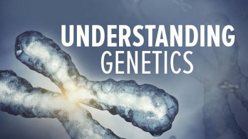 TheGreatCoursesPlus - Understanding Genetics: DNA, Genes, and Their Real-World Applications