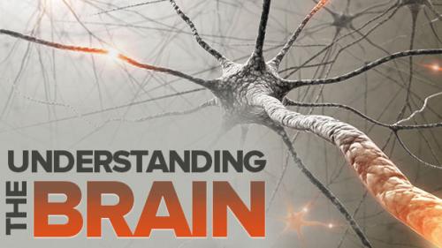 TheGreatCoursesPlus - Understanding the Brain