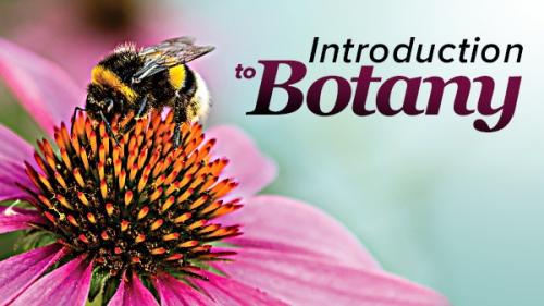 TheGreatCoursesPlus - Plant Science: An Introduction to Botany