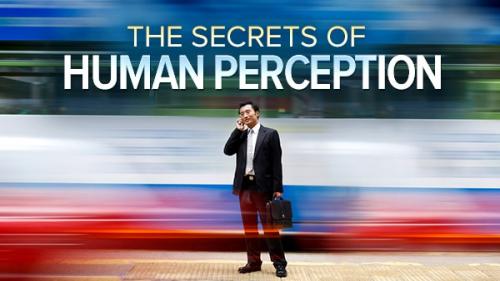 TheGreatCoursesPlus - Understanding the Secrets of Human Perception