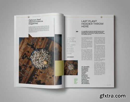 Theplant Magazine Template