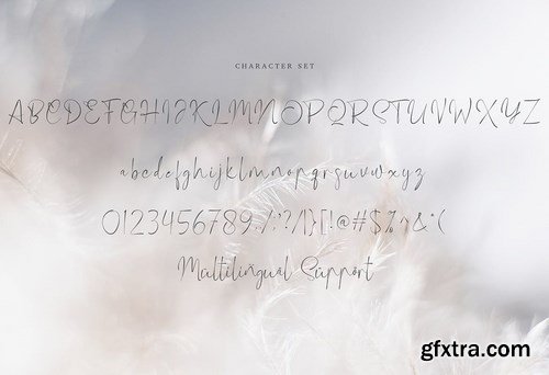 Marylinda Beauty and Modern Signature Font