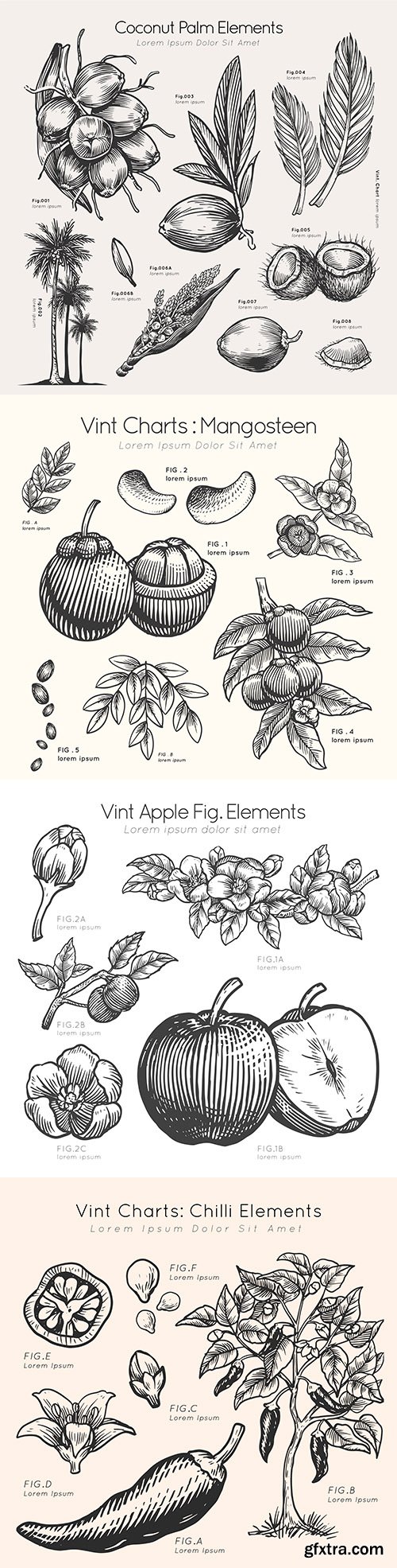 Fruit and vegetables drawn by hand and description
