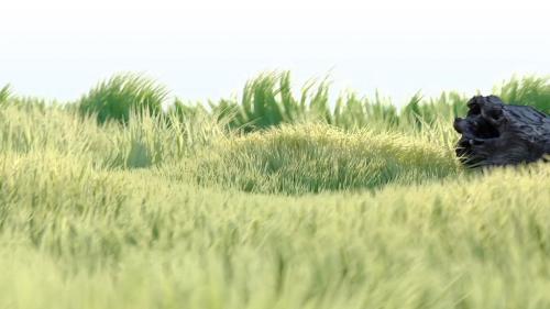 Nature And Grass Logo - 13015755