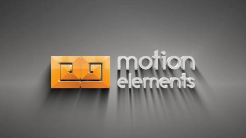 Stylish Logo Animation - 12505086