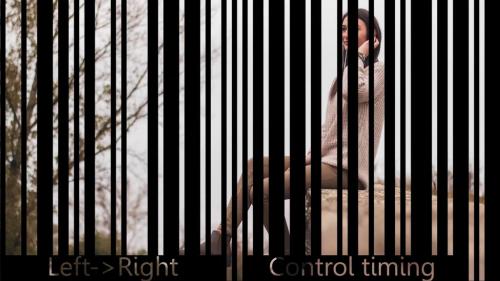 Barcode slide - 13986998