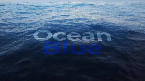 Ocean Title - 13687991