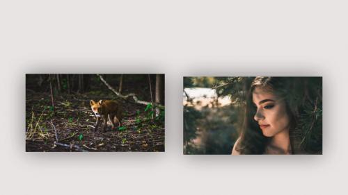 70 Color Grading Presets - 12761965