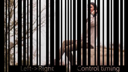 Barcode slide - 13986998