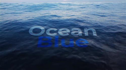 Ocean Title - 13687991