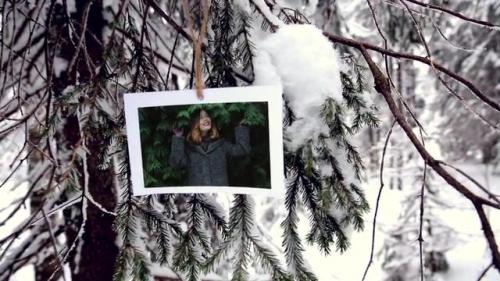 Photos in the winter forest - 12519846