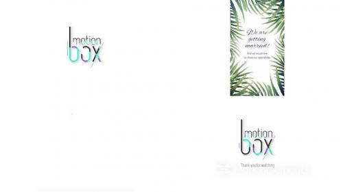 Tropical Wedding Invitation - 14254747