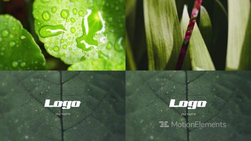 Logo - Photo Intro - 13956617