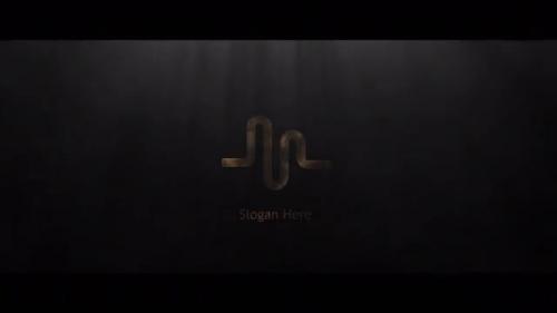 Cinematic Silver & Gold Logo - 12275221