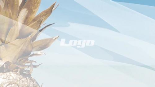 Clean Logo Reveal - 12649037