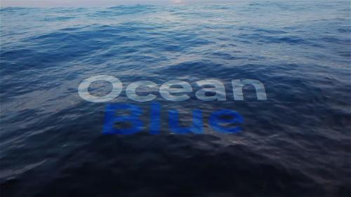 Ocean Title - 13687991