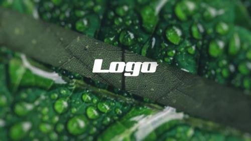 Logo - Photo Intro - 13956617