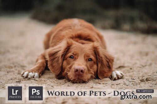 CreativeMarket - World of Pets Dogs Lightroom Presets 4413945