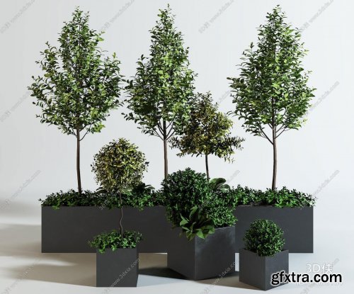 Modern potted plants 23 3D model