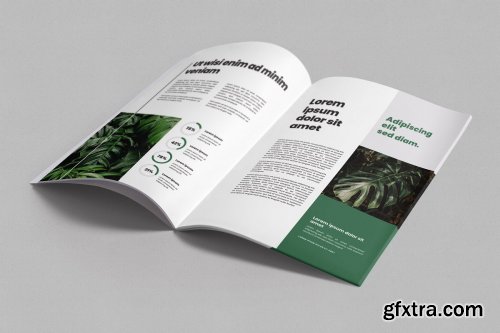 CreativeMarket - Brochure Magazine Mockups 4589122